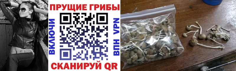 цены наркотик  Лукоянов  OMG как войти  Галлюциногенные грибы Psilocybine cubensis 